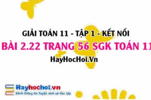 Giải bài 2.22 trang 56 Toán 11 tập 1 SGK Kết nối tri thức